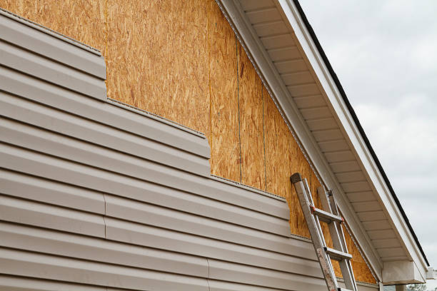 Professional Siding Inspection technician working in Spring Hill, FL
